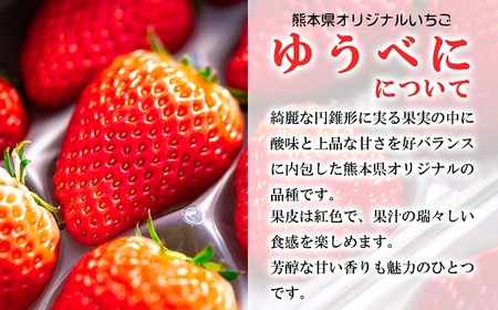 定期便(全3回)【先行予約】農家直送 南関町産いちご(ゆうべに) 計1kg 4パック×3 家庭用 2月・3月・4月の３回発送 Sから3Lまで混在