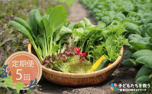 
[5回定期便]サガンベジ 佐賀県産 7品目葉物野菜セット
