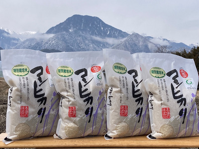 産直センター　特別栽培米コシヒカリ「８㎏」
