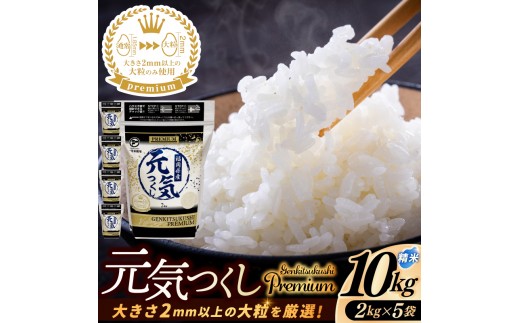 【ふるさと納税】福岡県産 元気つくし プレミアム 精米 2kg×5P（計10kg） 配送日時指定不可 2週間～2ヶ月に発送 [a0836] ※配送不可：離島【返礼品】添田町 ふるさと納税