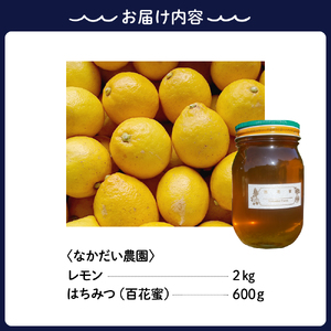 【非加熱・純粋はちみつ】山の花々からとれた濃厚な甘さの百花蜜600g＆【栽培期間中防腐剤・農薬・ワックス・不使用】酸っぱいだけじゃない！甘みも感じるレモン2キロ