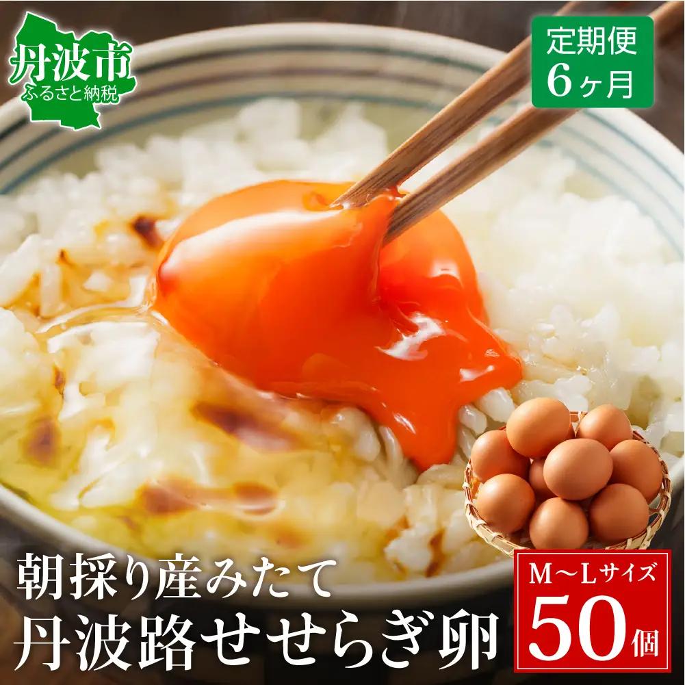 【6ヶ月定期便】せせらぎ卵 50個 〈丹波市産〉 鶏卵 定期便
