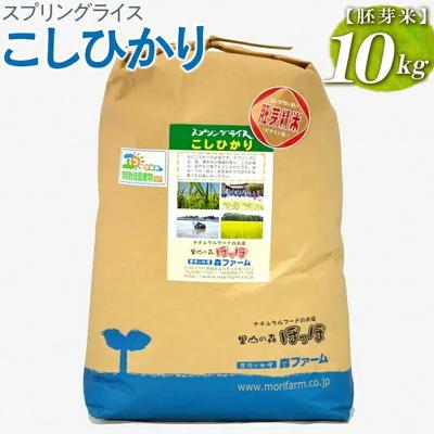 ふるさと納税 古河市 スプリングライス こしひかり (胚芽米)10kg | 米 こめ コメ 10キロ 胚芽米 _BI50