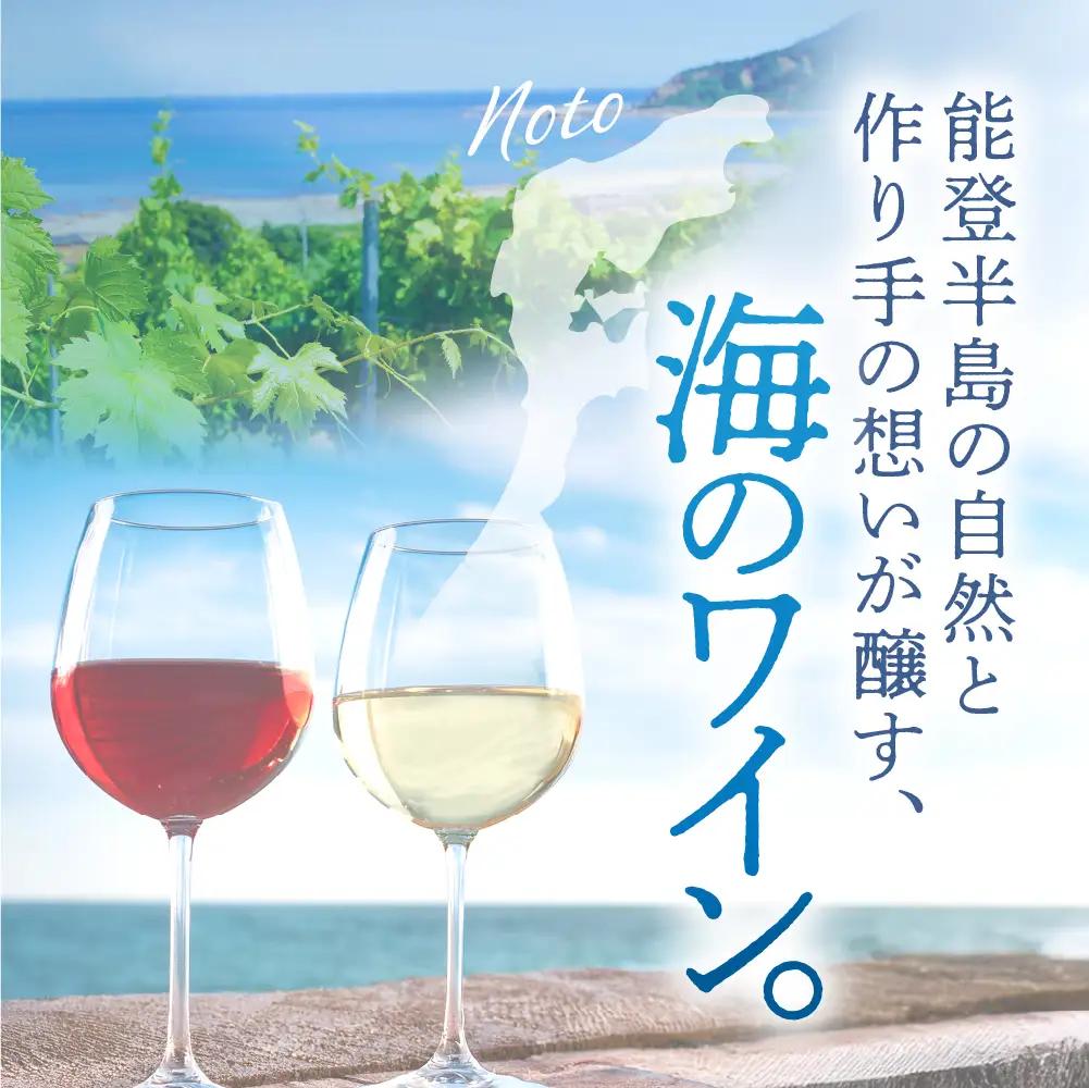 禅の里わいんセット（赤白　各1本） wa011　ワイン　セット