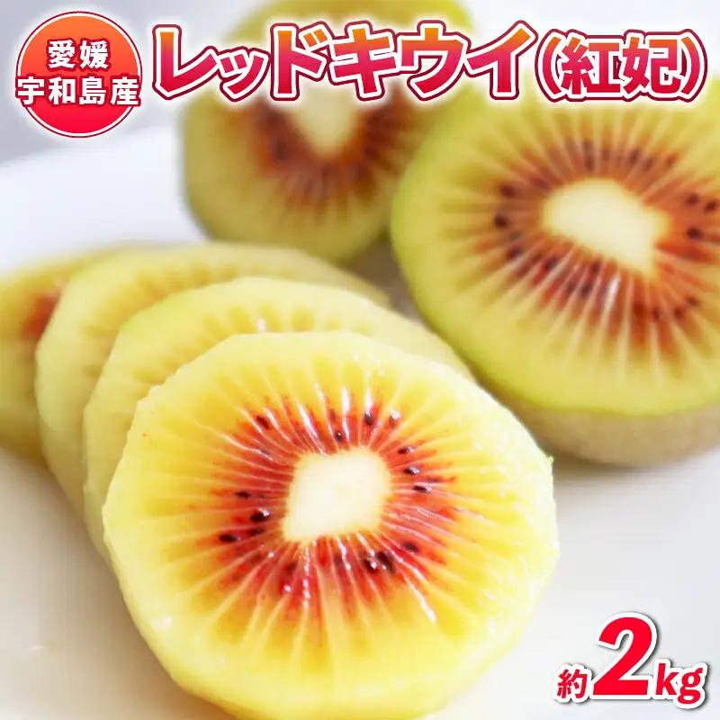 レッドキウイ (紅妃) 2kg 先行予約 果物 Shirai.agrifarm レッドキウイ F012-115001