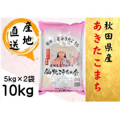 ふるさと納税 大仙市 【令和7年産】秋田県産あきたこまち　精米10kg(5kg×2袋)