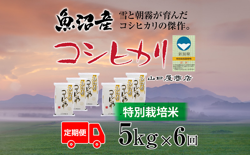 
            定期便 全6回 特別栽培米 魚沼産コシヒカリ 5kg
          
