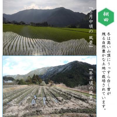 ふるさと納税 香美市 【ふるさと納税限定】令和7年産高知県　にこまる米5kg |  | 03