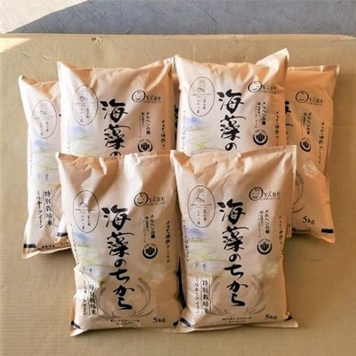 
            2024年2月発送開始『定期便』ミルキークイーン(海藻のちから)5kg×7ヶ月連続　全7回【5147648】
          