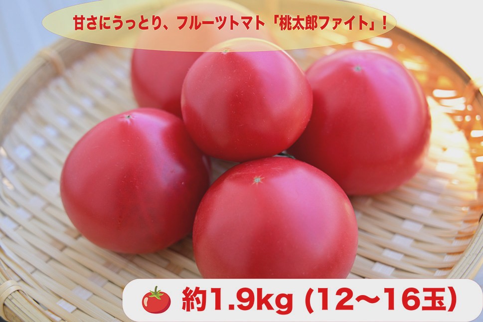 
            上杉ファーム　桃太郎ファイト約1.9kg
          