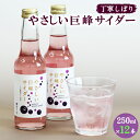 【ふるさと納税】巨峰サイダー 250ml×12本 福岡県 鞍手町 送料無料《30日以内に出荷予定(土日祝除く)》ぶどう 直鞍農業協同組合 営農センター フルーツ