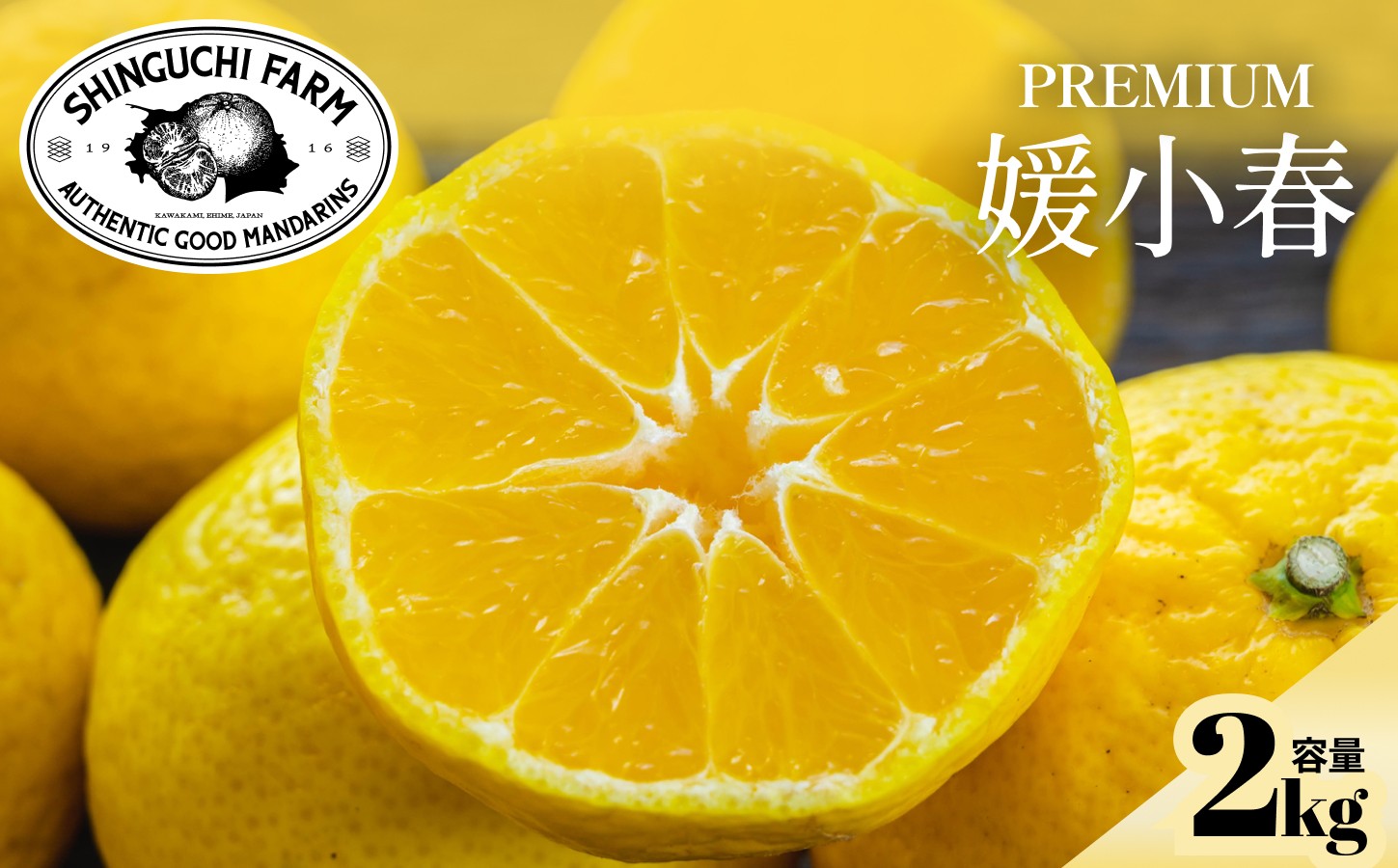 
                  【先行受付】老舗農家が見極めたプレミアム【媛小春2kg】 愛媛県新品種【C70-99】【1671387】 YWTK098
                