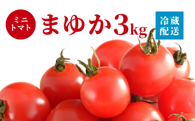 北海道伊達産 ミニトマト まゆか 3kg とまと 甘い 野菜 やさい 人気 新鮮 産地直送 農家直送 先行受付_イメージ5