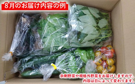 訳あり 野菜 セット (5種類程度)｜ もったいない 野菜 詰め合わせ 新鮮 食べ切り SDGs フードロス 訳あり 規格外 傷 不揃い 送料無料 季節 旬 おまかせ 5000円 ５０００円以下 福島