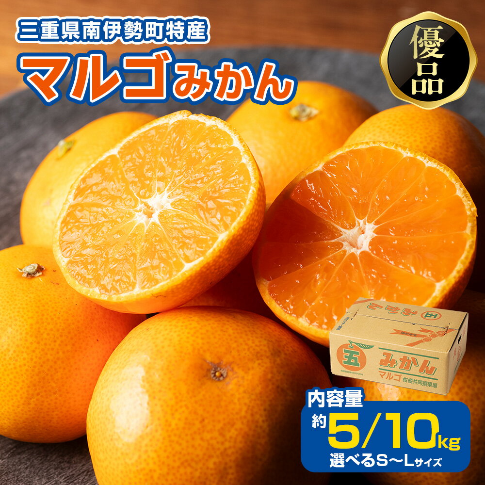【ふるさと納税】 みかん 温州みかん 約5～10kg (S～Lサイズ) 選べる容量 サイズ 優品 家庭用 期間限定 柑橘 蜜柑 mikan フルーツ 果物 くだもの 国産 ブランド 三重県 伊勢 志摩 南伊勢町 マルゴみかん JA伊勢