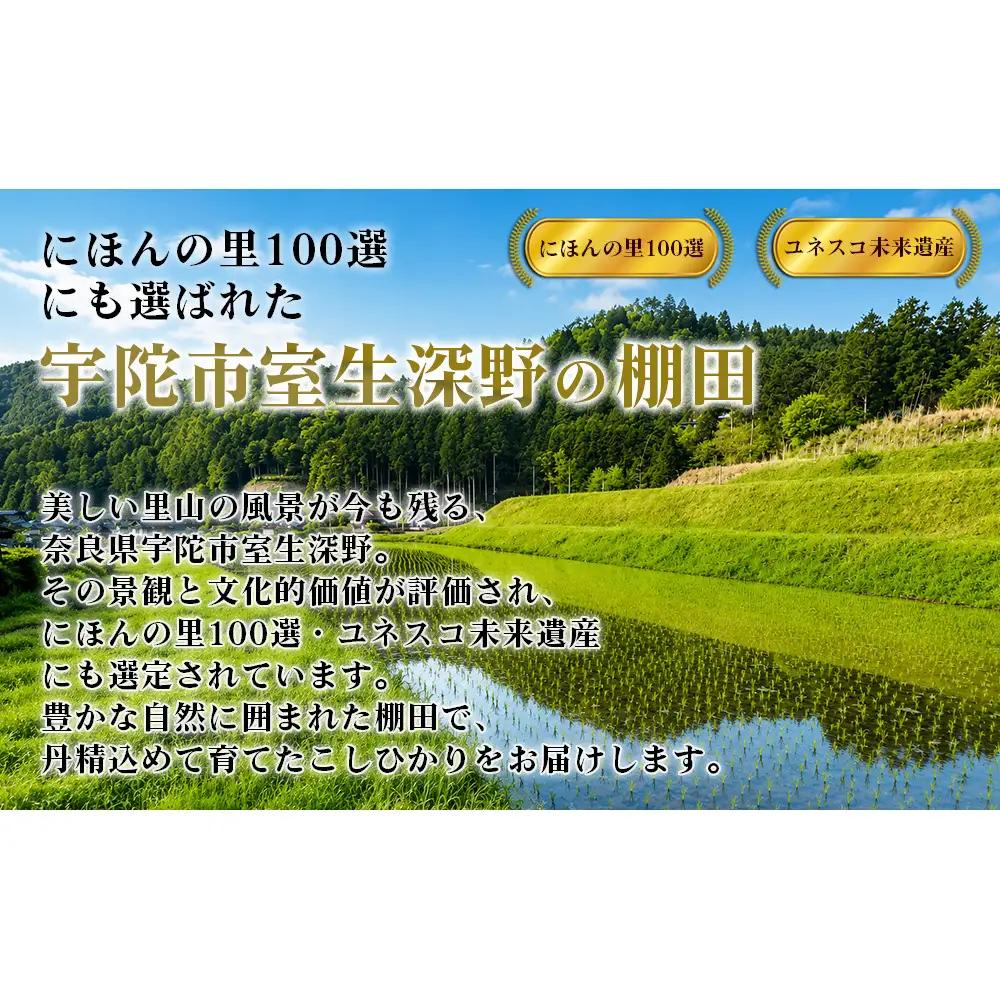 【先行予約】R8年度産 新米こしひかり白米9kg
