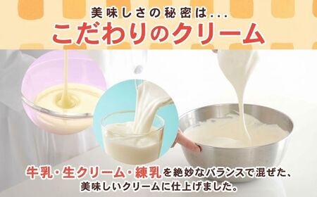 定期便 3ヶ月連続 クリームボックス セット 13個入 郡山 発祥 ご当地 グルメ 菓子パン パン クリームパン 菓子 生クリーム 名物 人気 土産 ソウルフード スイーツ おやつ 軽食 お取り寄せ 