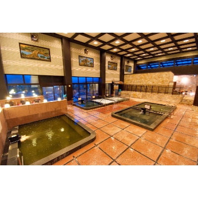 奈良健康ランド 入館回数券(5枚綴)