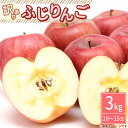 【ふるさと納税】【先行受付】【訳あり】ふじりんご 約3kg（10～15玉）〔P-215〕 | りんご リンゴ 林檎 フルーツ 果物 果実 わけあり 傷 数量 限定 先行予約 那須 栃木県 那須町 ※2024年10月中旬頃より順次発送予定