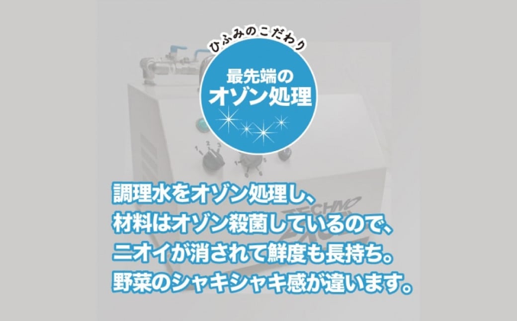 【全12回定期便】《具材付》長崎冷凍ちゃんぽん 総計120食 (10食×12回) 