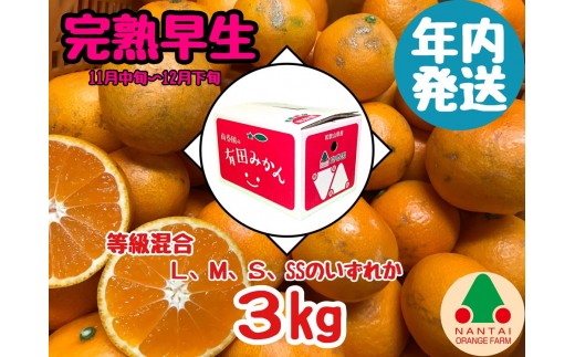 
                  年内発送 等級混合 完熟早生 有田 みかん L ～ SS サイズ 3kg 南泰園 和歌山 有田みかん
                