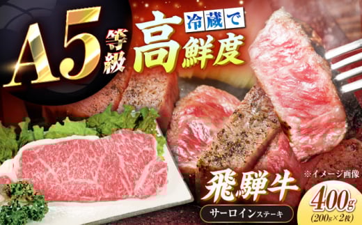 【年内発送】【チルド（冷蔵）発送！】 牛肉 「飛騨牛」 A5等級 サーロインステーキ 200g×2枚 / 肉 お肉 にく牛肉 飛騨牛 和牛 国産和牛 ブランド牛 お取り寄せ 価格 ステーキ 焼肉 おすすめ 人気 贈答用 ギフト プレゼント 高級 焼肉 鉄板焼き 網焼き BBQ バーベキュー / 恵那市 / 東美濃農業協同組合 [AUFX011]