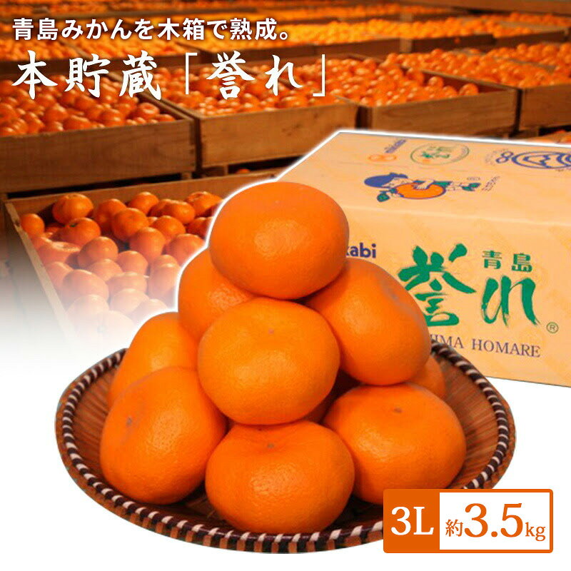 【ふるさと納税】青島三ヶ日みかん 本貯蔵 「誉れ」 3L 約3.5kg （約13個）みかん ミカン フルーツ 果物 静岡 浜松市　お届け：2026年3月1日～3月31日まで