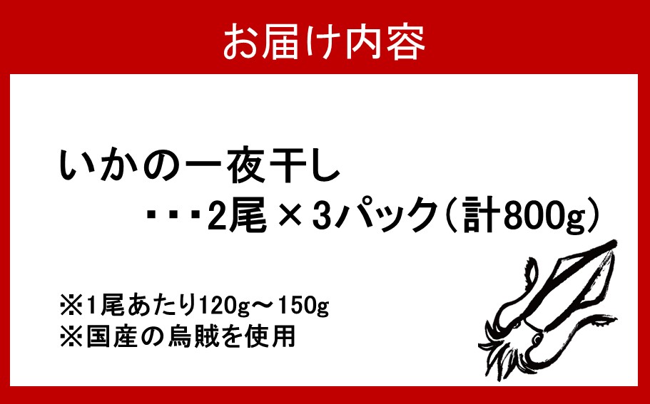 【父の日ギフト】絶品！磯武の国産肉厚烏賊 一夜干し800g ( 2尾×3P )_2556R