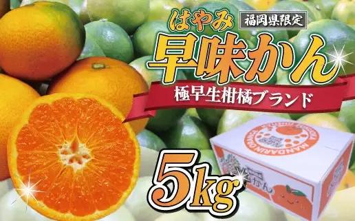 【2026年9月中旬より順次発送】JAむなかたブランドみかん（早味かん）約5kg[H2281]