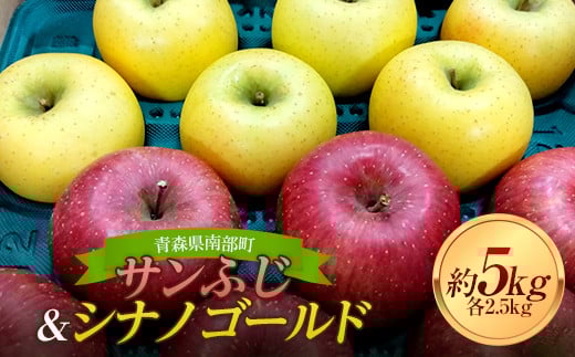 
            青森りんご サンふじ ・ シナノゴールド 約５ｋｇセット 【マルス果樹園】 ２種 セット ふじ シナノゴールド りんご リンゴ 林檎 アップル 果物 くだもの フルーツ あおもり 青森 青森県 南部町 三戸 南部 F21U-294
          