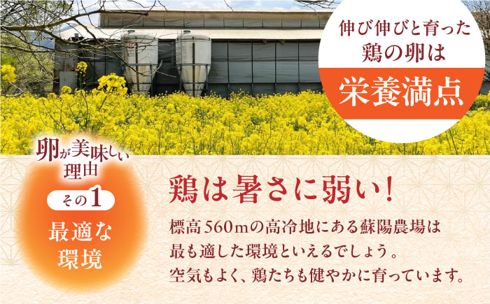 【全3回定期便】熊本県産 熊本そだち 30個入り ( 10個入り × 3パック ) 山都町 たまご 卵【蘇陽農場】 [YBE030]