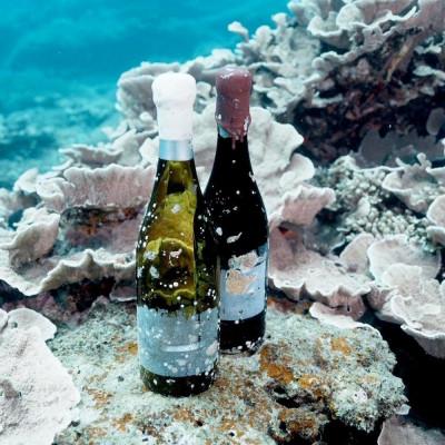 ふるさと納税 瀬戸内町 tlass-2024 1st Edition-海底熟成前後飲み比べ赤ワイン |  | 03