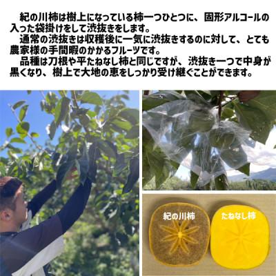 ふるさと納税 紀の川市 【秀品】 紀の川柿 黒蜜のような濃厚な甘み 約10kg |  | 01