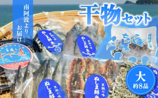 南阿波よりお届け！海の恵み「干物セット」約８品  干物 詰め合わせ 約8品 干物セット 父の日 アジ あじ じゃこ ちりめん