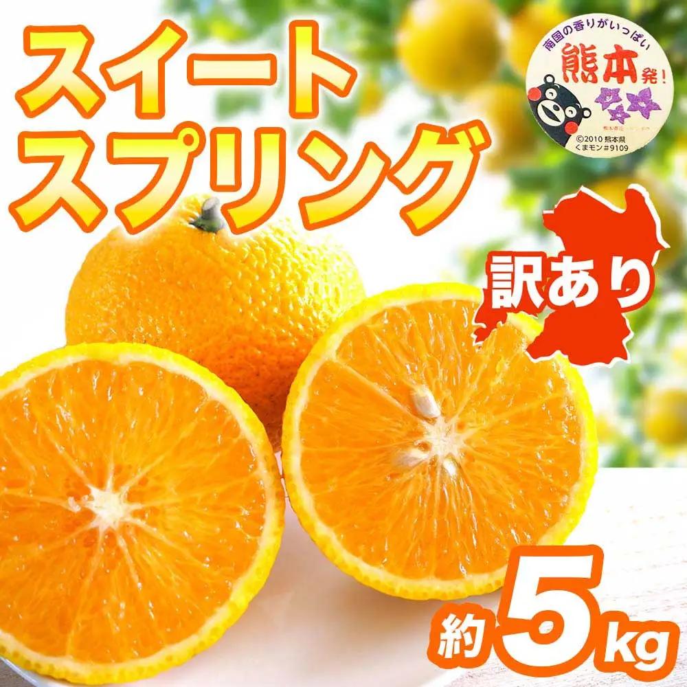 先行予約 訳ありスイートスプリング みかん 約5㎏ 【2027年1月中旬～2027年3月上旬発送予定】
