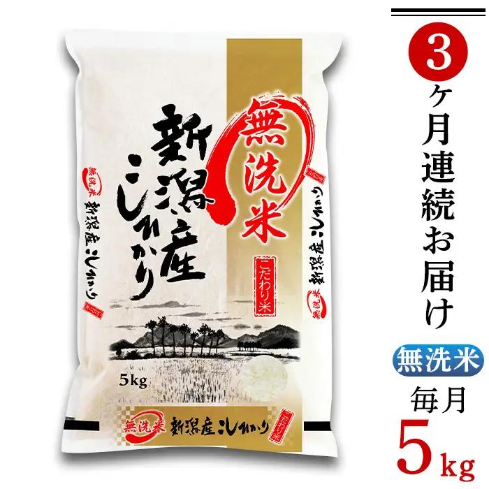 31-M53【無洗米】新潟県産コシヒカリ5kg【3ヶ月連続お届け】