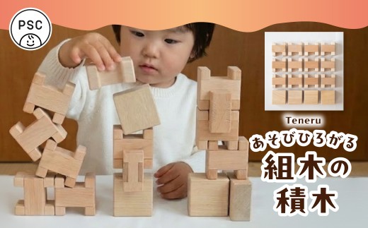 ＜8月から寄附額改定＞Teneru 積み木セット あそびひろがる組木の積木 飛騨市産広葉樹 子ども 孫 プレゼント 国産材 無塗装 面取り 遊び つみき 積み木 ギフト ツミキ つみ木 おもちゃ 子供