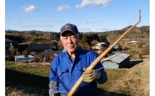 
伊藤農園の自然薯カット　約700g
