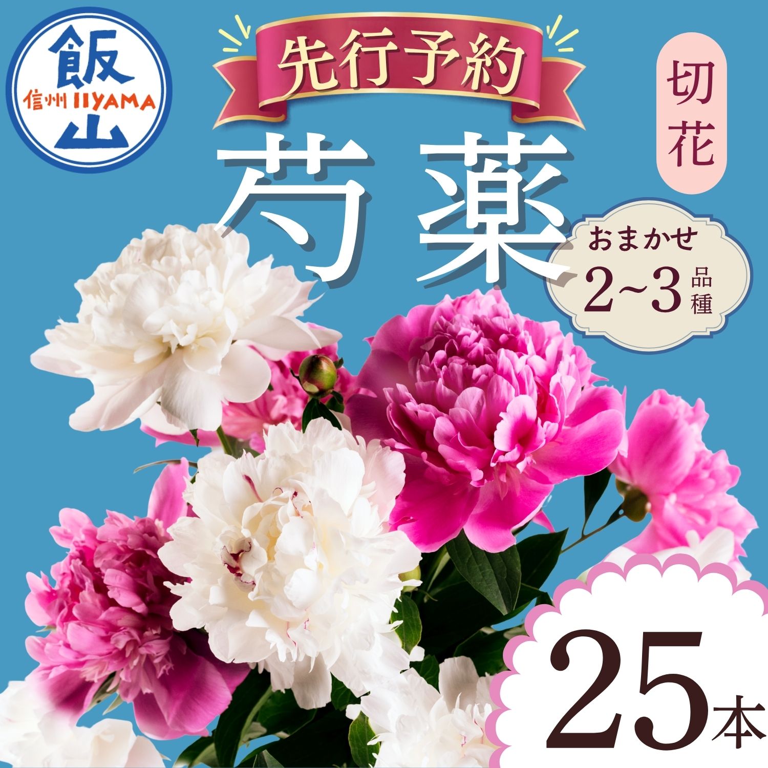 【ふるさと納税】《先行予約》雪国からの贈り物 ＼ 芍薬 切花／ シャクヤク おまかせ 2〜3品種 25本セット＜出荷開始：2027年5月上旬〜＞ 木内ファーム 【 長野県 飯山市 花 フラワー美しい 母の日 記念日 誕生日 記念品 はな 】(ca-001)
