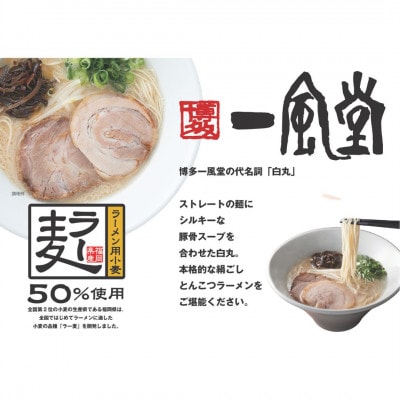 ラー麦使用「一風堂」とんこつラーメン 白丸 計16食(8食×2)【ホットもやしソース付き】(岡垣町)