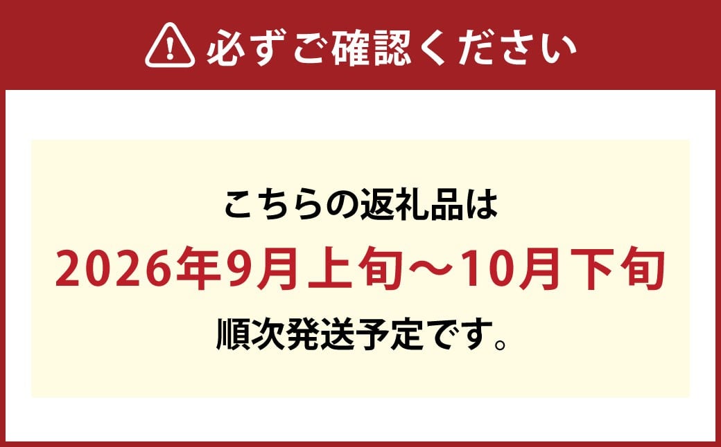 【無加温栽培（晴王）】岡山県産シャインマスカット自家用つる付き2房入り（1房530ｇ以上）