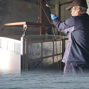 【秀品】【松山市中島産】寒ひじき 100g天然 ひじき 乾燥ひじき 海産物 海藻  寒ひじき 煮物 貴重 ひじき 無添加 ひじき サラダ 鉄分 国産 愛媛 松山 瀬戸内  テッパン返礼品 新着【OG0