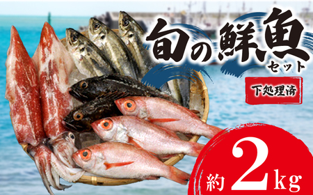 旬の 鮮魚 約 2kg 下処理済 (鮮魚鮮魚鮮魚鮮魚鮮魚鮮魚鮮魚鮮魚鮮魚鮮魚鮮魚鮮魚鮮魚鮮魚鮮魚鮮魚鮮魚鮮魚鮮魚鮮魚鮮魚鮮魚鮮魚鮮魚鮮魚鮮魚鮮魚鮮魚鮮魚鮮魚鮮魚鮮魚鮮魚鮮魚鮮魚鮮魚鮮魚鮮魚鮮魚鮮魚鮮魚鮮魚鮮魚鮮魚鮮魚鮮魚鮮魚鮮魚鮮魚鮮魚鮮魚鮮魚鮮魚鮮魚鮮魚鮮魚鮮魚鮮魚鮮魚鮮魚鮮魚鮮魚鮮魚鮮魚鮮魚鮮魚鮮魚鮮魚鮮魚鮮魚鮮魚鮮魚鮮魚鮮魚鮮魚鮮魚鮮魚鮮魚鮮魚鮮魚鮮魚鮮魚鮮魚鮮魚鮮魚鮮魚鮮魚鮮魚鮮魚鮮魚鮮魚鮮魚鮮魚鮮魚鮮魚鮮魚鮮魚鮮魚鮮魚鮮魚鮮魚鮮魚鮮魚鮮魚鮮魚鮮魚鮮魚鮮魚鮮魚鮮魚鮮魚鮮魚鮮魚鮮魚鮮魚鮮魚鮮魚鮮魚鮮魚