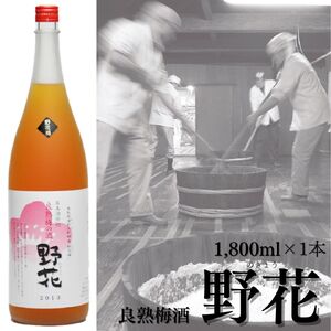 138M.ド～ンと一升！良熟梅酒『野花』