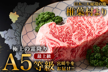 【A5ランク】 宮崎牛 すき焼き 2種 食べ比べ 肩ロース210g・牛もも210g 計420g すき焼き しゃぶしゃぶ | ふるさと納税 すき焼き しゃぶしゃぶ 肉 牛肉 高級肉 黒毛和牛 国産 モモ