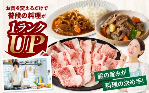 【訳あり】宮崎牛バラ切り落とし500g_M132-106-01