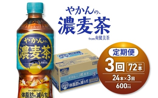 【３ヶ月定期便】やかんの濃麦茶 from 爽健美茶 600mlPET×24本｜コカ・コーラ 飲料 ドリンク 飲み物 お茶 北海道 札幌市