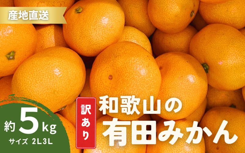 
            家庭用 訳あり 有田みかん 和歌山  2L,3Lサイズ 約5kg【10月上旬～1月下旬頃に順次発送】/ みかん フルーツ 果物 くだもの 有田みかん 蜜柑 柑橘【ktn011】
          