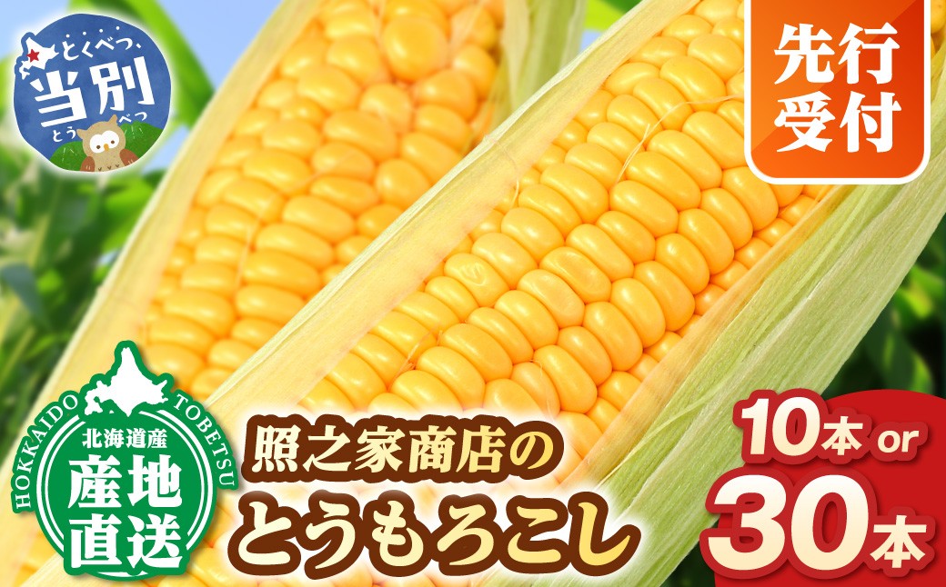 
                  【2026年先行予約】照之家商店 鮮度抜群とうもろこし 選べる 10本 30本 とうもろこし トウモロコシ 北海道とうもろこし 朝採れとうもろこし 産地直送とうもろこし 北海道産とうもろこし st-p
                