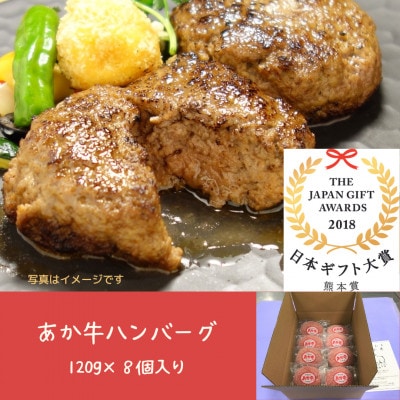 あか牛ハンバーグ　120g×8個入り(南阿蘇村)【配送不可地域：離島】【1476982】